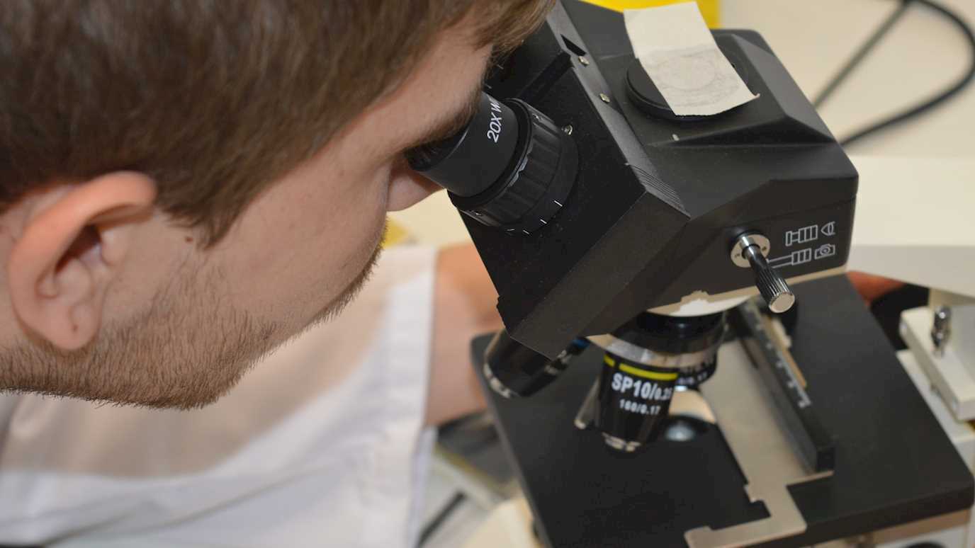 Biological Sciences Microscope