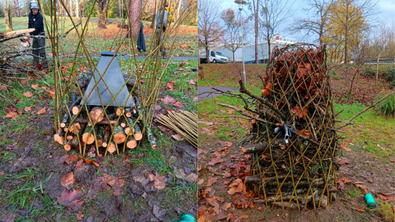 Royal Holloway Willow Structure Veteran Tree